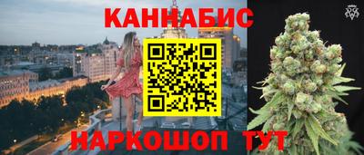прущие крисы Будённовск