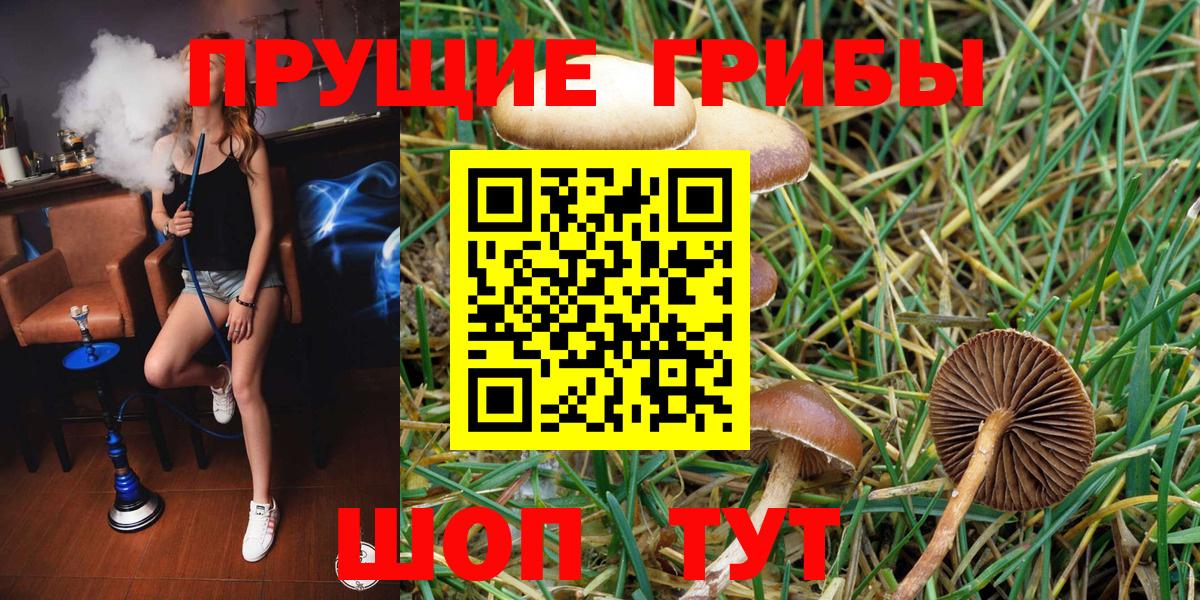 Псилоцибиновые грибы прущие грибы  Вход с VPN  Электрогорск 